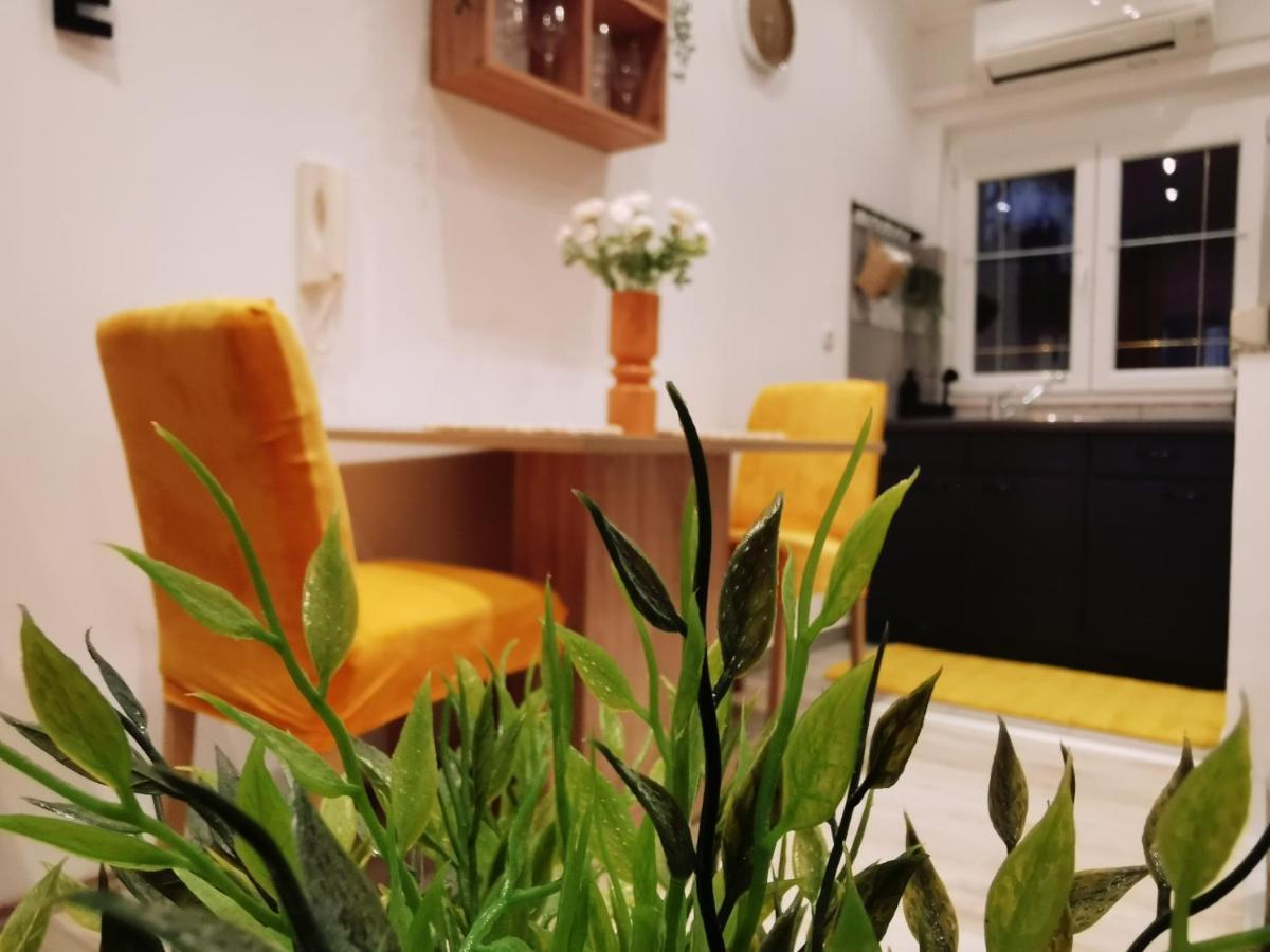 Apartmán Lino Selce